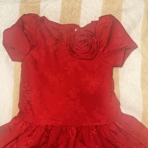 New Janie and Jack dress - Picture 2 of 11